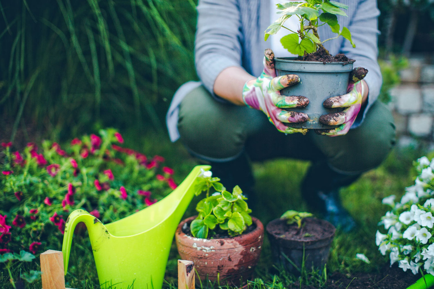 Patio & Gardening