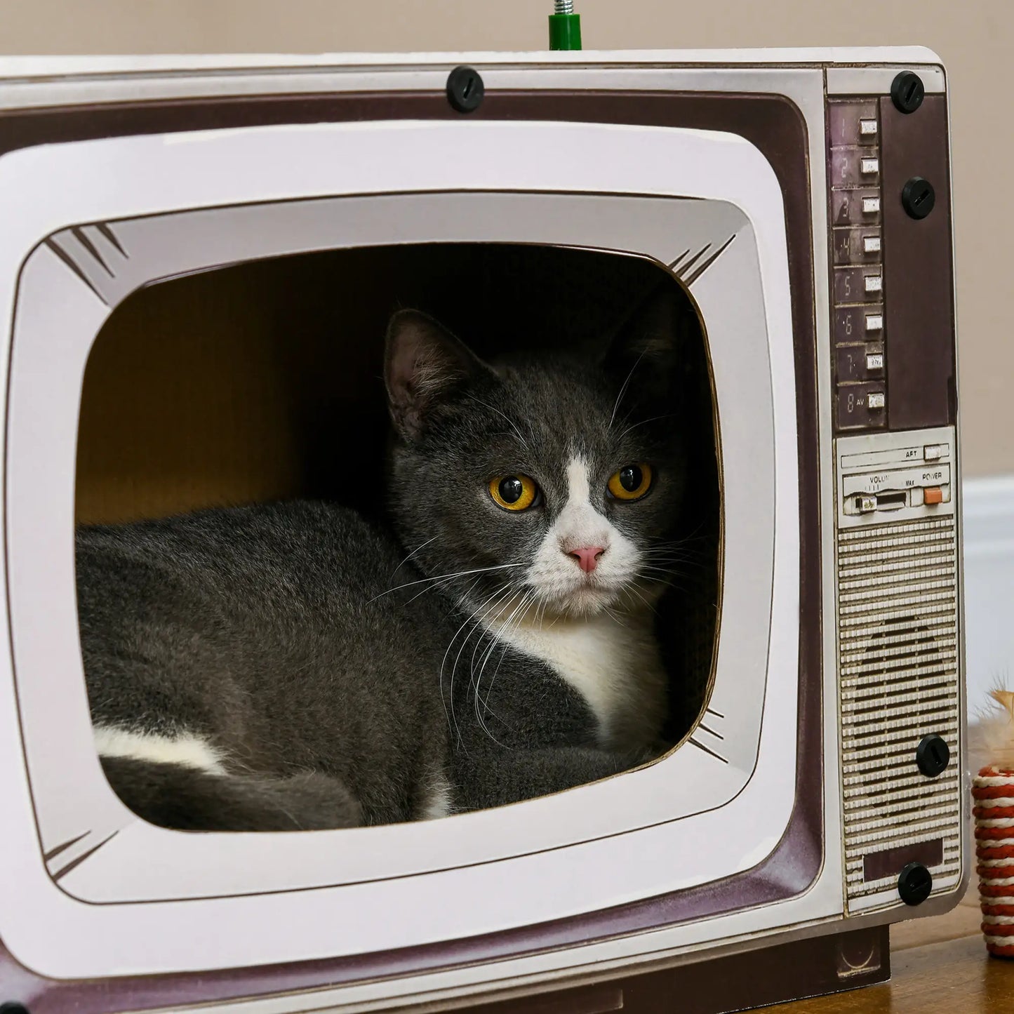 PawHut TV-Shaped Scratching Board with Scratcher, Catnip, Toy Rat, Cat Scratcher for Indoor Cats