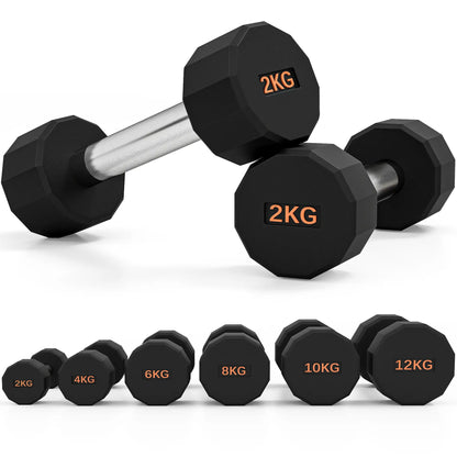 SPORTNOW Dumbbells Weights Set with 12-Sided Shape and Non-Slip Grip for Home Gym Workout, 2 x 2kg