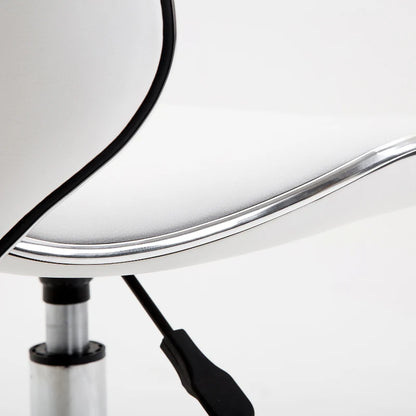 Beauty Salon Chair
