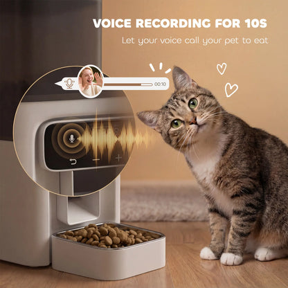 PawHut Programmable Automatic Cat Feeder with Timer Up to 6 Meals Per Day, 10s Voice Recorder, Portion Control
