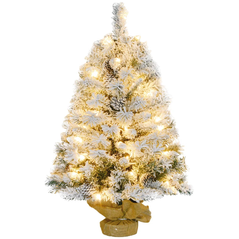 Small tabletop Christmas tree with festive lights
