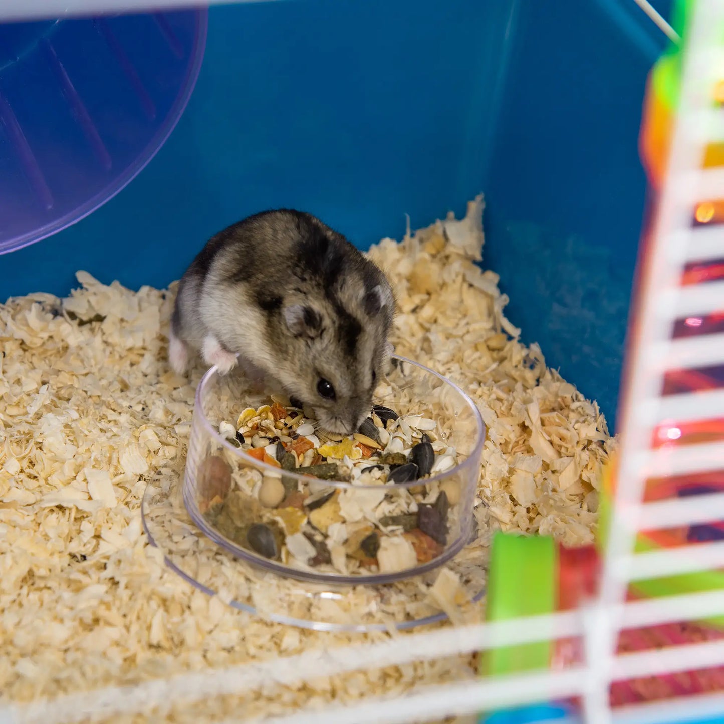 PawHut 5 Tier Hamster Cage, Gerbil Cage with Exercise Wheel, Feeder Bowl, Tube - Blue
